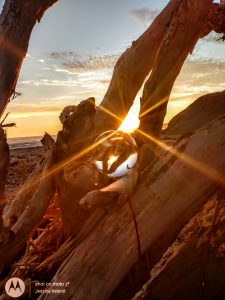 glassball, beach, driftwood