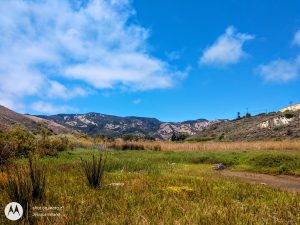 Gaviota beach, moutain view