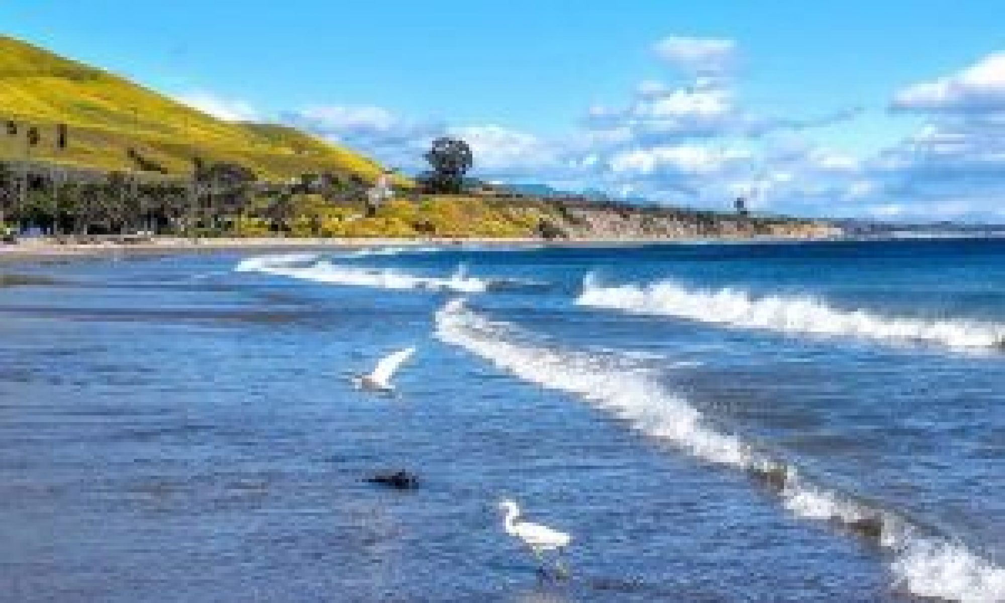 Capturing the Central Coast Photography