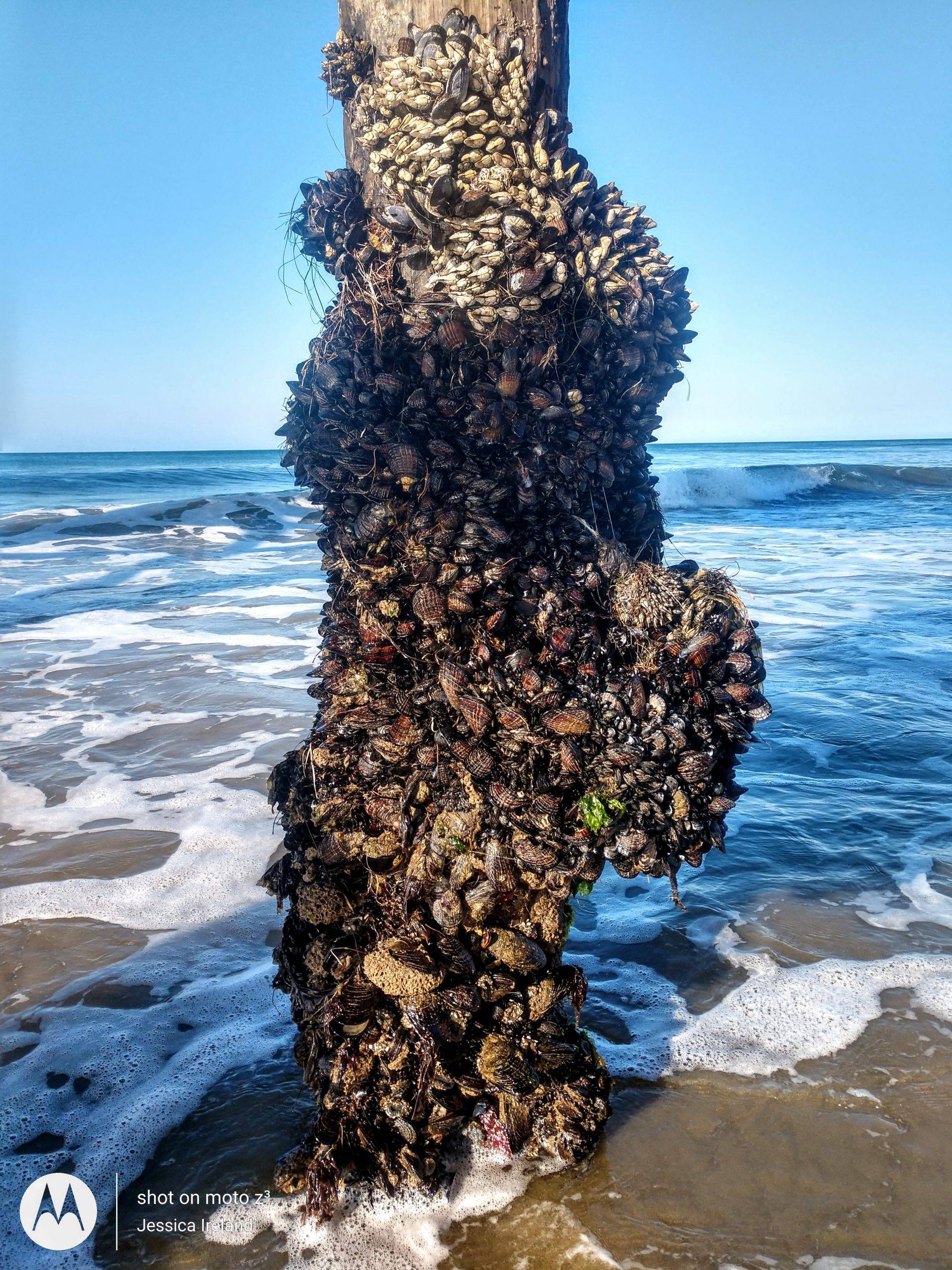 Avila Beach