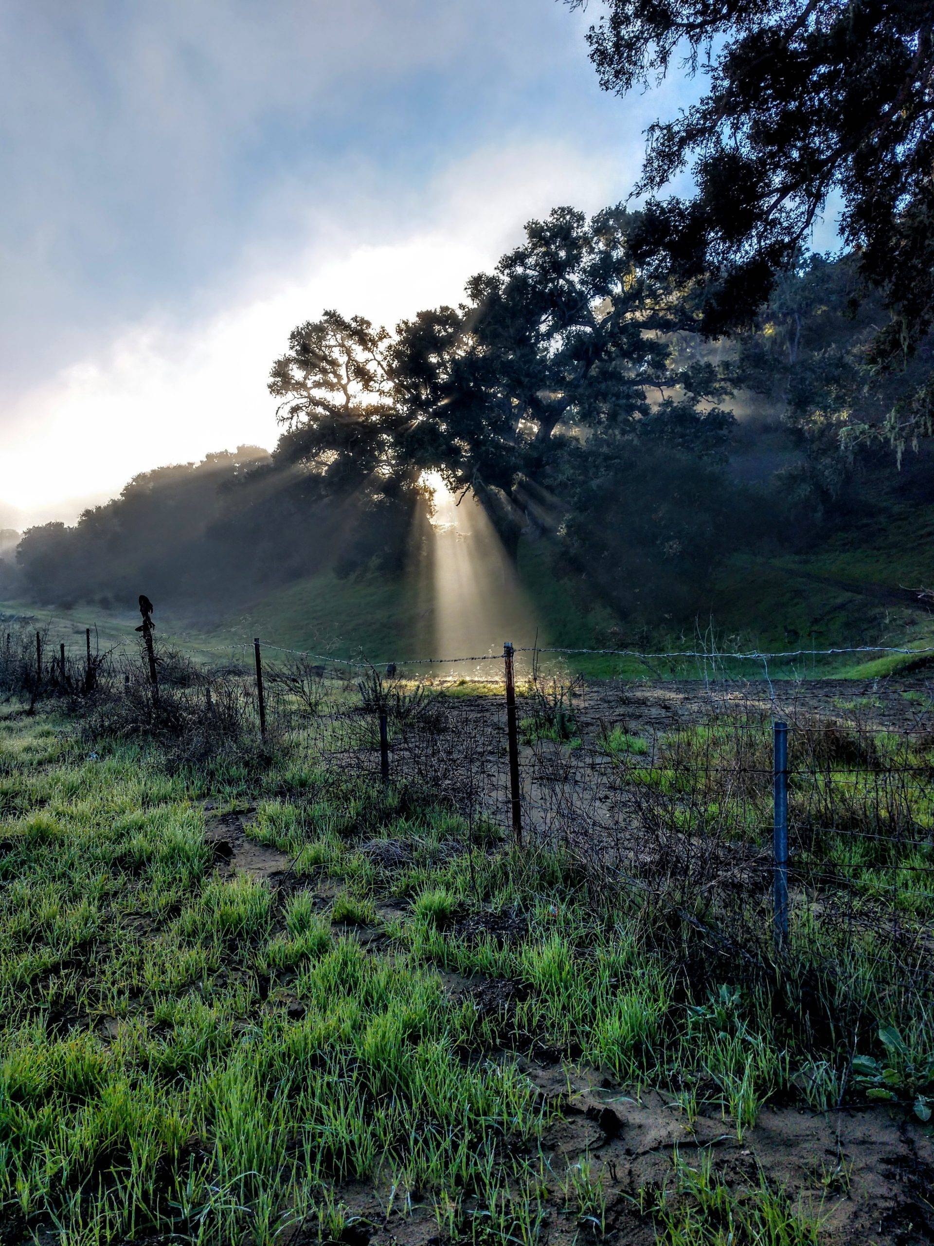 Santa Rosa Rd